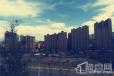 上海紫园实景图