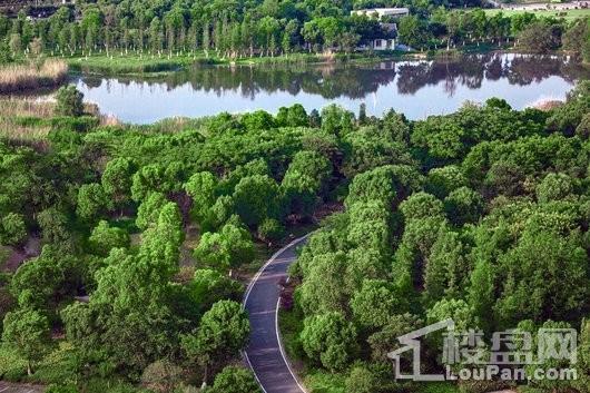 中梁国宾府附近湿地公园美景