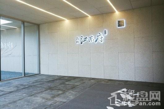 万科江东府美学展示馆实景