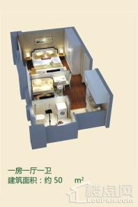 国信宜和公寓50-60平户型 1室1厅1卫1厨