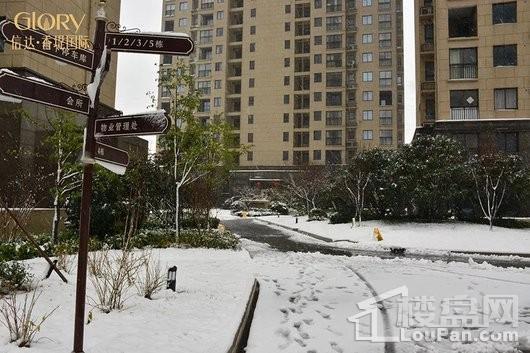 信达·香堤国际雪景图