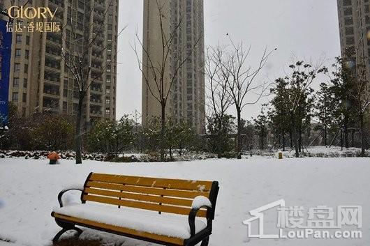 信达·香堤国际雪景图