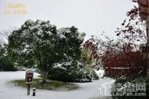 信达·香堤国际雪景图