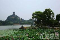 金山东街金山湖公园