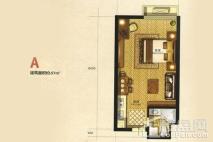 印象西城57平米a户型 1室1厅1卫1厨