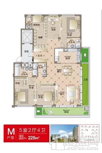 新湖景城牡丹园M户型建面约225㎡ 5室2厅4卫1厨