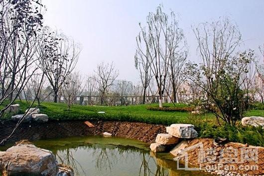 尚宾城公园湖景