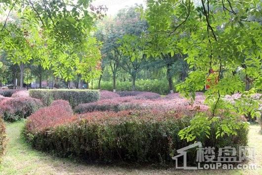 润江紫宸院项目周边人民公园景观