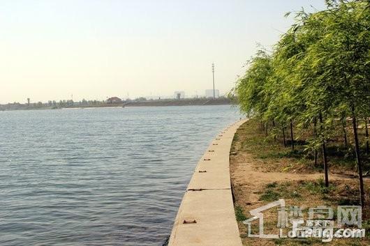 滨河江山墅项目周边滹沱河景观1