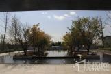 磊阳湖畔示范区景观环境实景拍摄