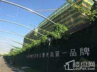 绿城西山桃花源在建工地