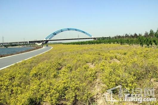 润江正定壹號院项目周边滹沱河景观2