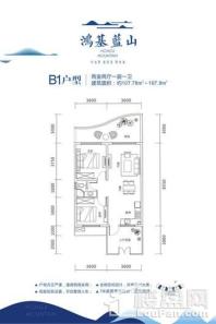 鸿基蓝山B1户型 2室2厅1卫1厨