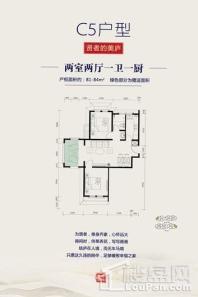 鹭湖国际养生度假区C5户型 2室2厅1卫1厨