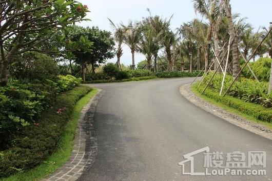 宏润香水湾小区内道路