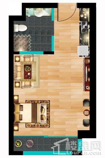 金开利SOHO43.88㎡户型 1室1厅1卫1厨