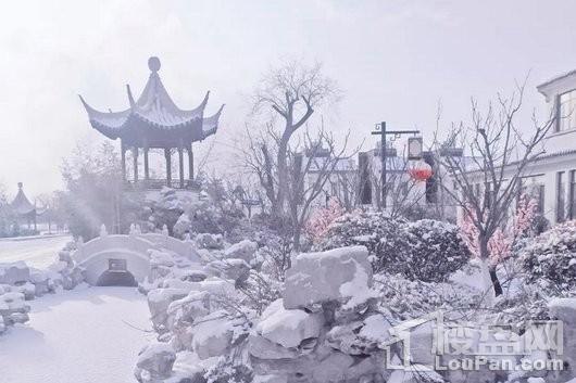 宝安江南城小区雪景图