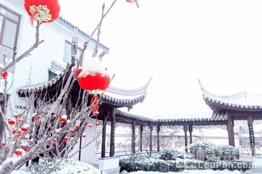 宝安江南城小区雪景图