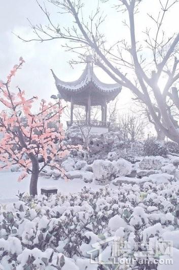 宝安江南城小区雪景图