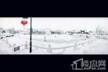 宝安江南城小区全景雪景图