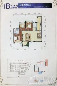 邦泰·国际社区花园城B2/A2 3室2厅2卫1厨