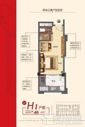 中扬国际城34#H1户型单身公寓46㎡ 1室1厅1卫
