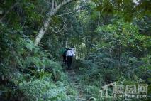 上城国际周边云霄山