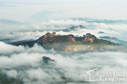 绿城桃李春风周边景观实拍