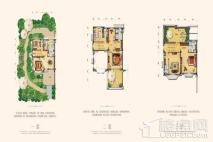 碧桂园凤凰城碧桂园别墅户型图 6室2厅5卫1厨