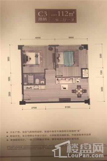 华景川·碧海辰园C3户型 3室2厅2卫1厨