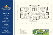 恒大御景半岛19#栋户型图