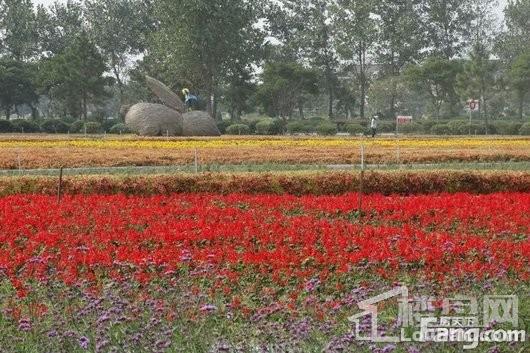 世合理想大地阳明清境