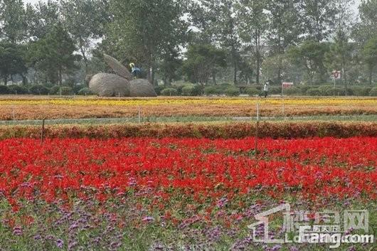 世合理想大地阳明清境实景图