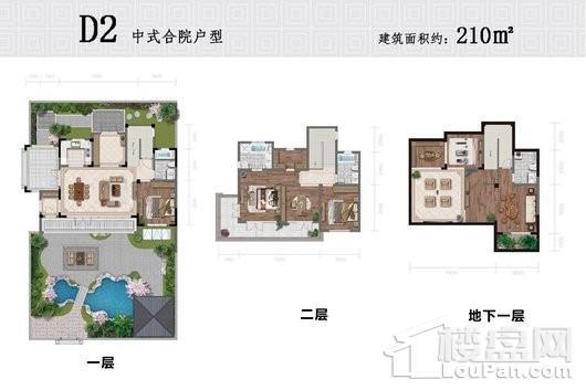 明辰绿城·泉韵春晓D2合院户型 5室4厅4卫1厨