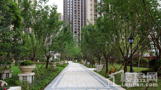 天悦龙栖台小区实景