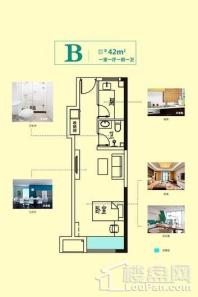 绿地国宝21城9#B户型 1室1厅1卫1厨