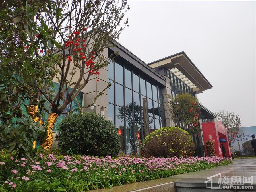 龙光玖珑郡营销中心实景图（摄于2019-2-13 ）
