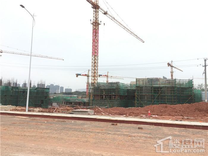 新城·悦隽江山工程进度（摄于2019.2.15）