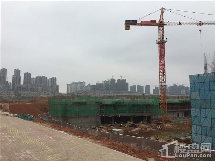 新城·悦隽江山建设进度（摄于2019.2.15）