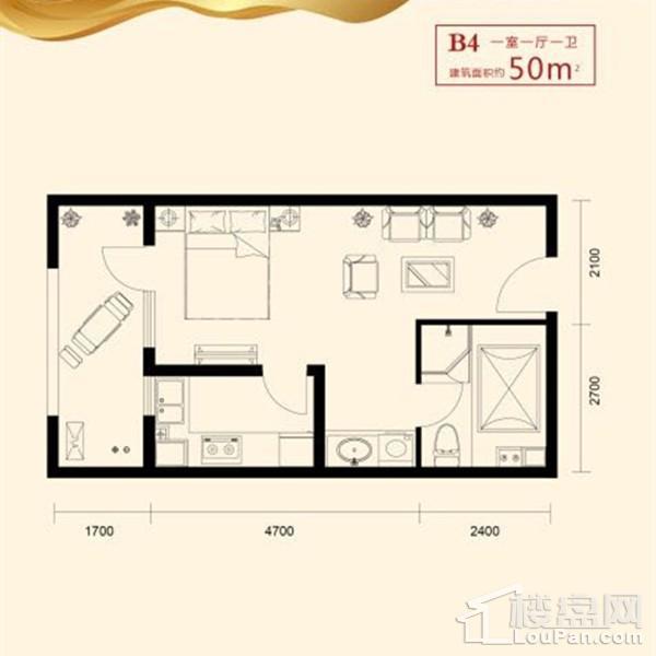 50平1室1厅1卫B4户型