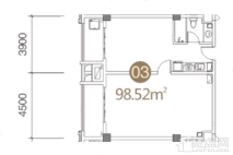 98.52公寓户型