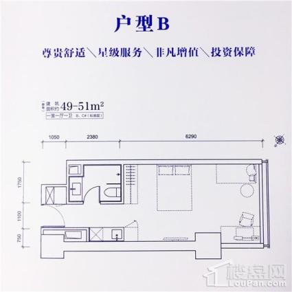 49-51平1室1厅1卫B户型