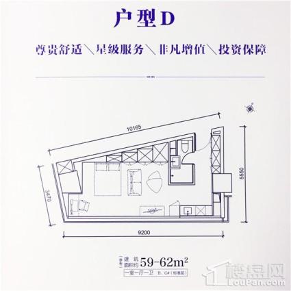 59-62平1室1厅1卫D户型