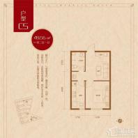 49.56平1室2厅1卫C5户型