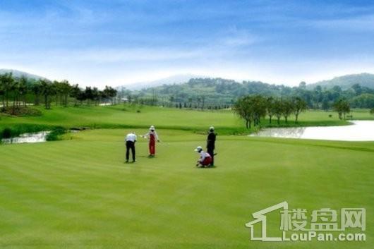美好·紫蓬山壹号项目国际标准18洞高尔夫球场