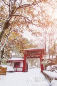 美好·紫蓬山壹号项目西庐寺