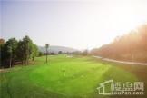 美好·紫蓬山壹号项目高尔夫球场