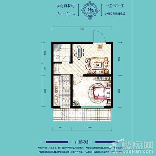 高层42平1室1厅1卫A3户型 