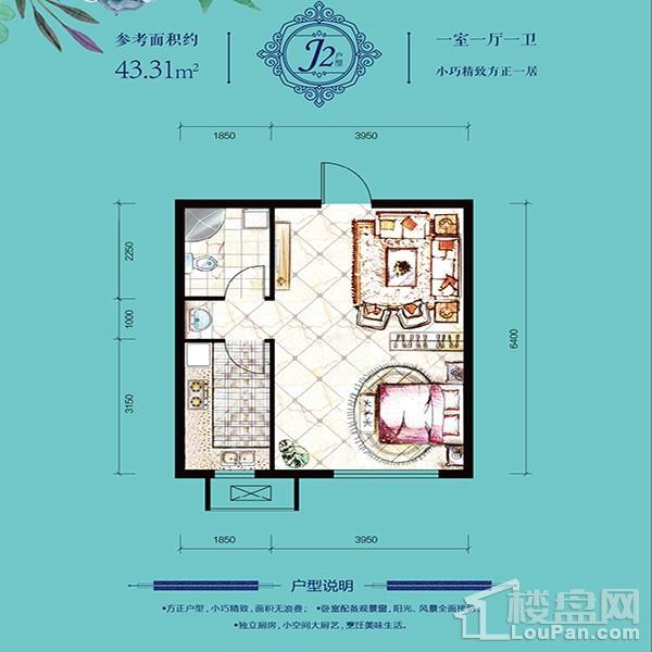 多层43平1室1厅1卫J2户型