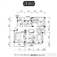 洋房141.11平3室2厅2卫D户型